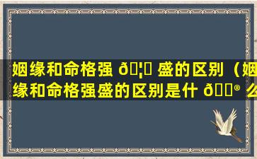 姻缘和命格强 🦟 盛的区别（姻缘和命格强盛的区别是什 💮 么）